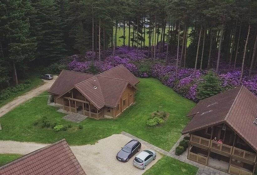 Dorset Resort