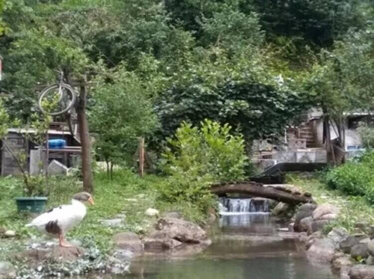 Yesil Doga Tatil Apart