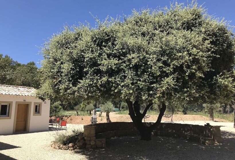 住宿加早餐  Mas La Chêneraie Lourmarin   Au Calme, à 10 Mn Du Centre Ville à Pied