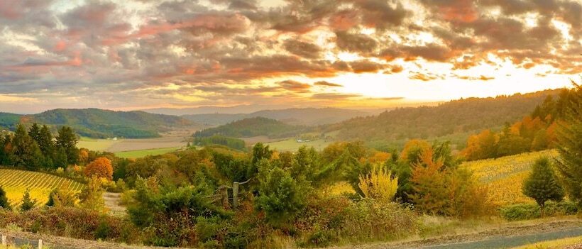 민박 Youngberg Hill