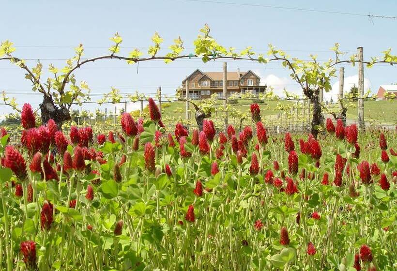 민박 Youngberg Hill