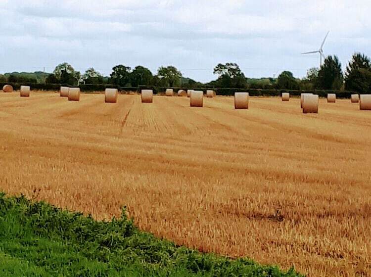Field View B&b