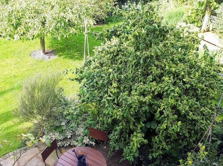 Field View B&b