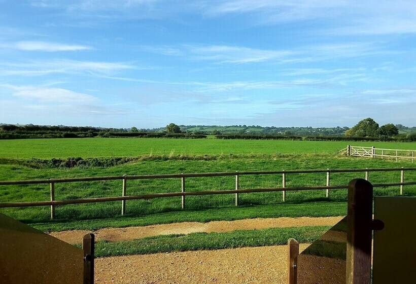 ホテル Tor Farm Lodge