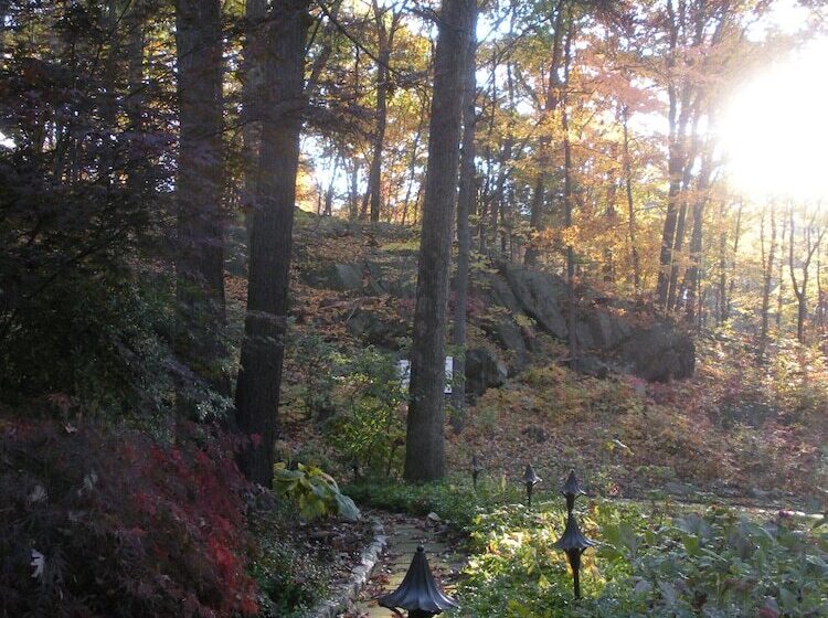 Inn The Woods Bed And Breakfast