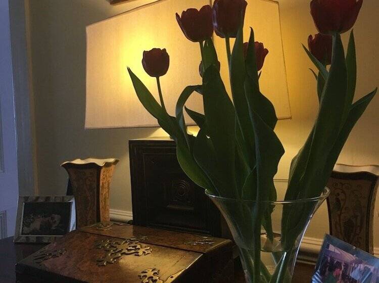 بنسيون Gladstone Guesthouse