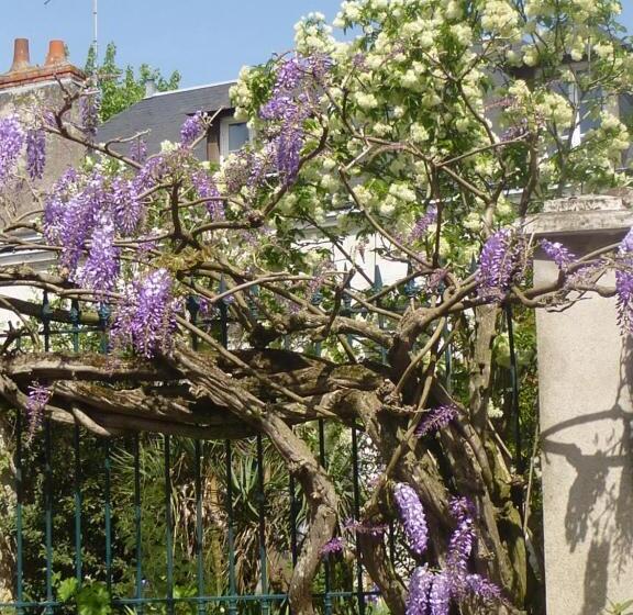 پانسیون La Petite Vigne