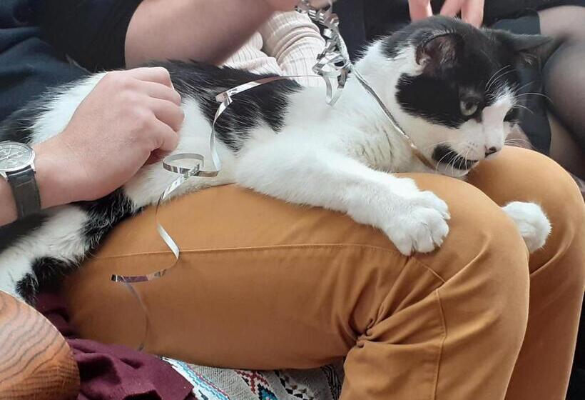 Bed and Breakfast La Maison Bleue