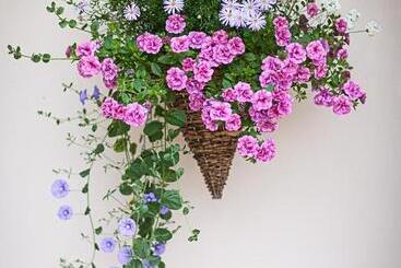 تختخواب و صبحانه Stoodleigh Court Coach House