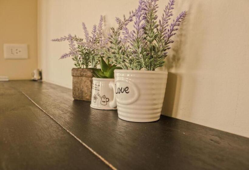 مسافرخانه Posada Azul Marino