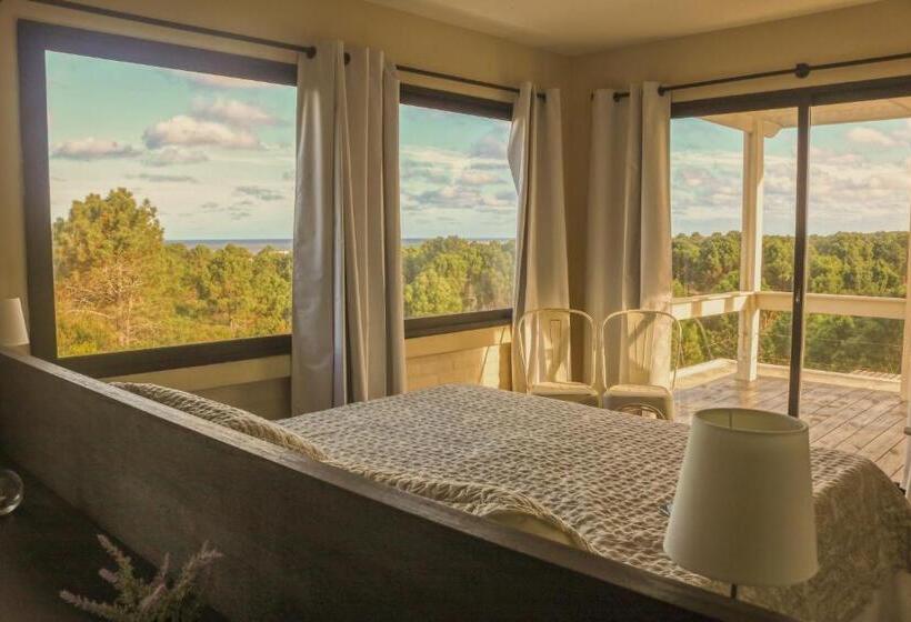 مسافرخانه Posada Azul Marino