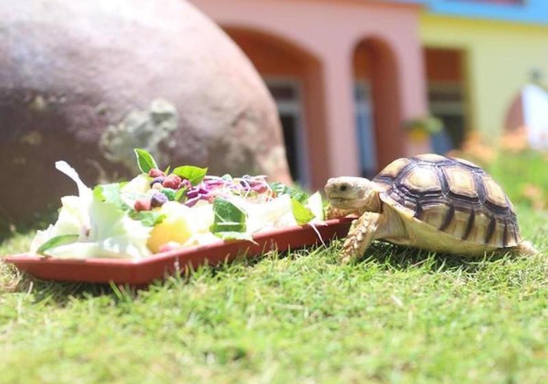 پانسیون Provence B&b