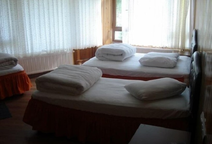 Ayder Yesil Vadi Otel
