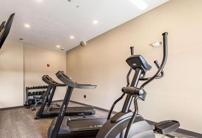 בית מלון כפרי Sleep Inn & Suites Mt. Hope Near Auction & Event Center