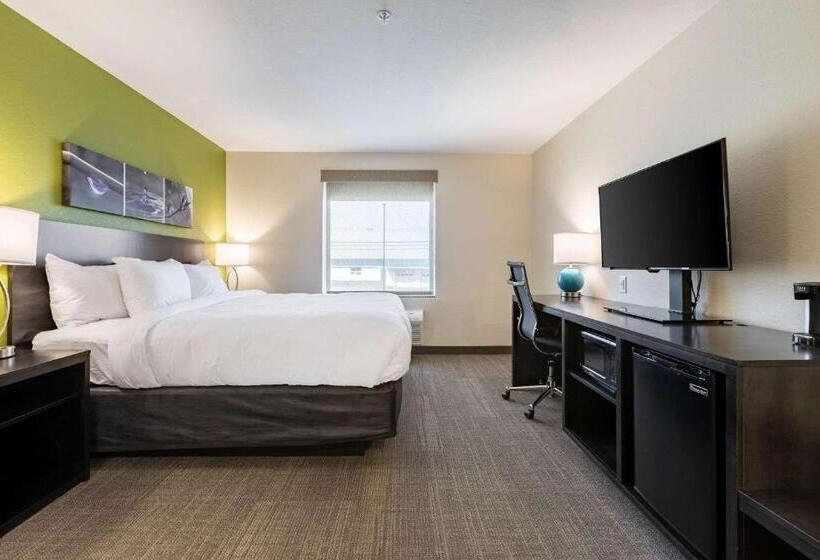בית מלון כפרי Sleep Inn & Suites Mt. Hope Near Auction & Event Center