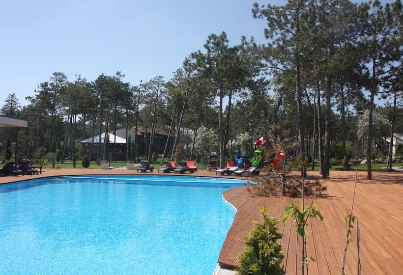 فندق Vital Park