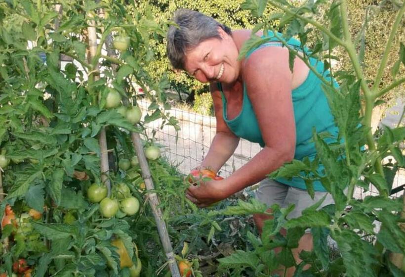 La Maison De Noélie  1er étage