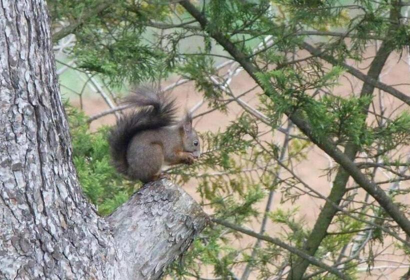 Rare   Escale Bicolore   Bas De Villa Privé Proche De Cassis   Piscine Chauffée Pendant L été