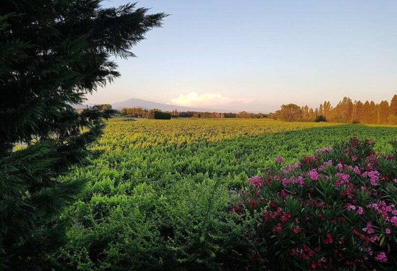 مبيت وإفطار Mas Du Clos De L Escarrat