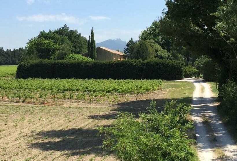 مبيت وإفطار Mas Du Clos De L Escarrat