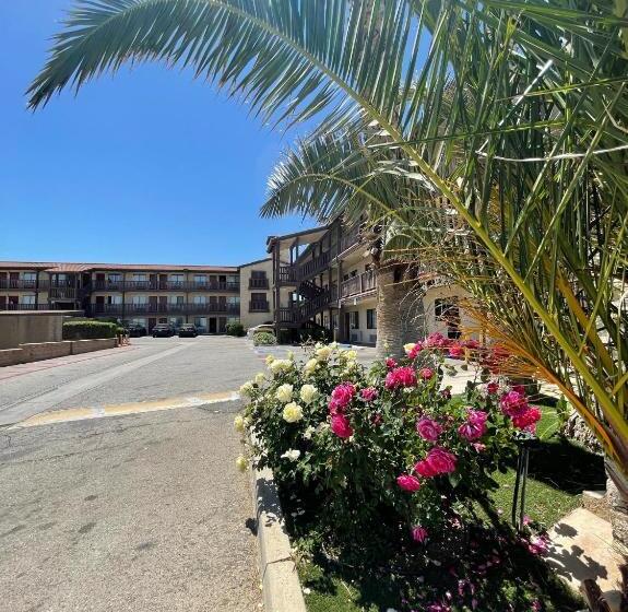 مُتل Palms Inn & Suites