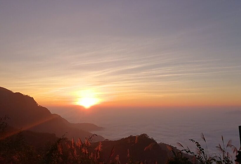 پانسیون Alishan Tea Homestay