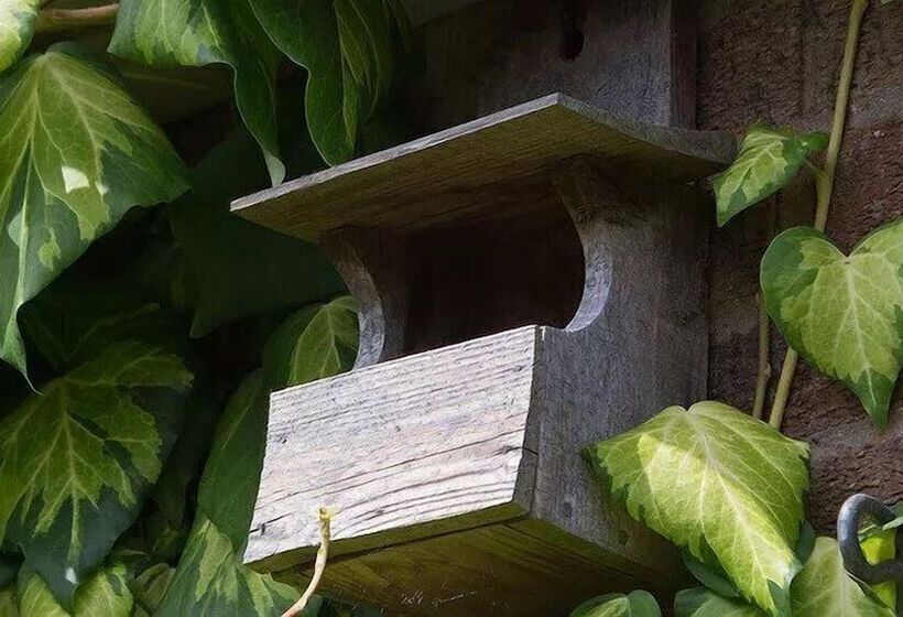 تختخواب و صبحانه The Old Stables