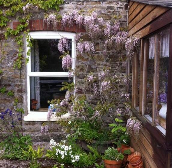 تختخواب و صبحانه Vine Cottage