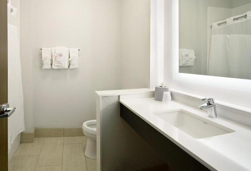 هتل Holiday Inn Express & Suites Wentzville St Louis West, An Ihg