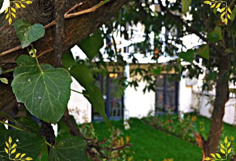 호텔 Kadifeli Konak Boutique