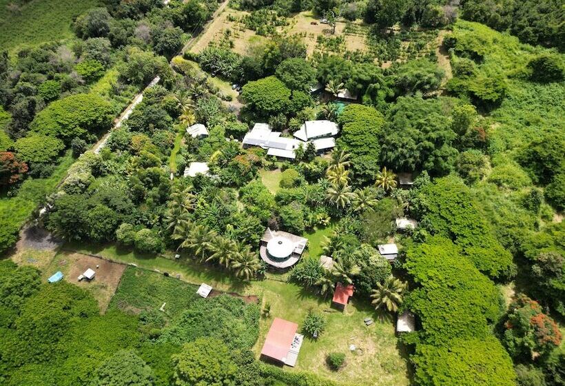 בית מלון כפרי Gingerhill Farm Retreat