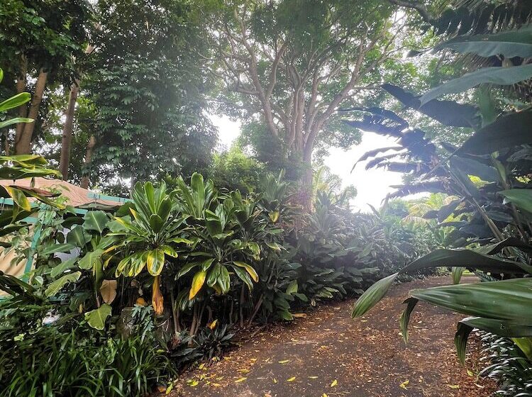 בית מלון כפרי Gingerhill Farm Retreat