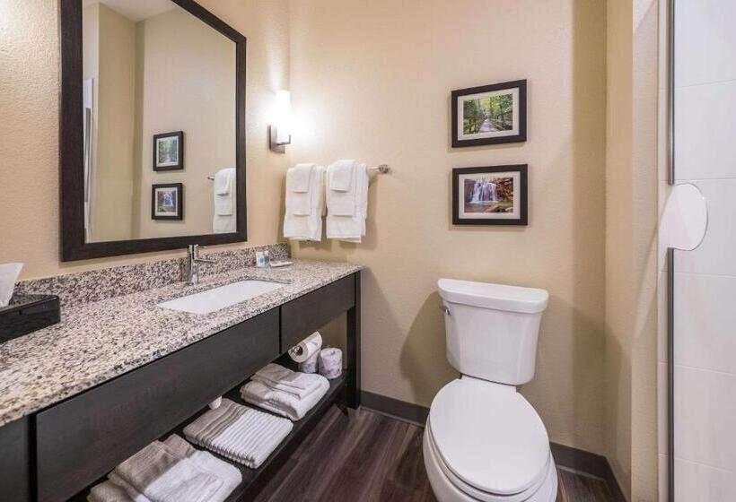 ホテル Comfort Suites Marysville Columbus  Northwest