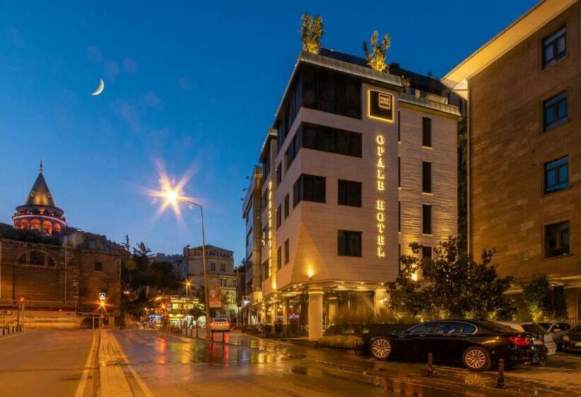 Fotos del hotel Opale:  12