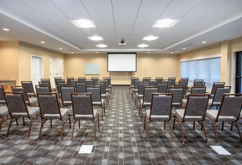 בית מלון כפרי Towneplace Suites By Marriott Detroit Belleville