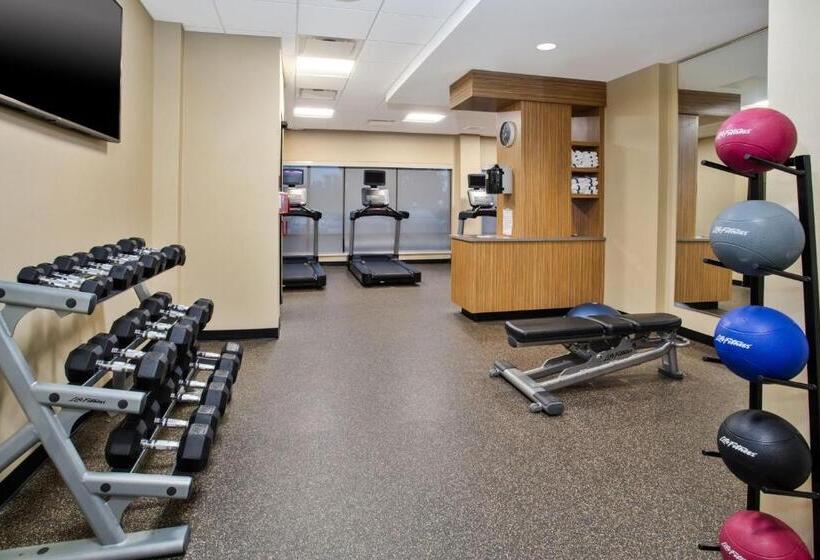 בית מלון כפרי Towneplace Suites By Marriott Detroit Belleville