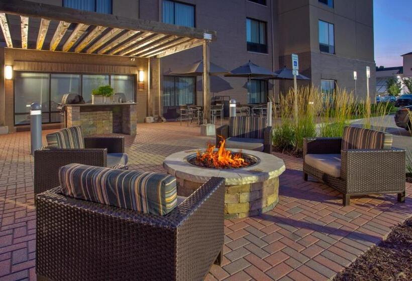 בית מלון כפרי Towneplace Suites By Marriott Detroit Belleville