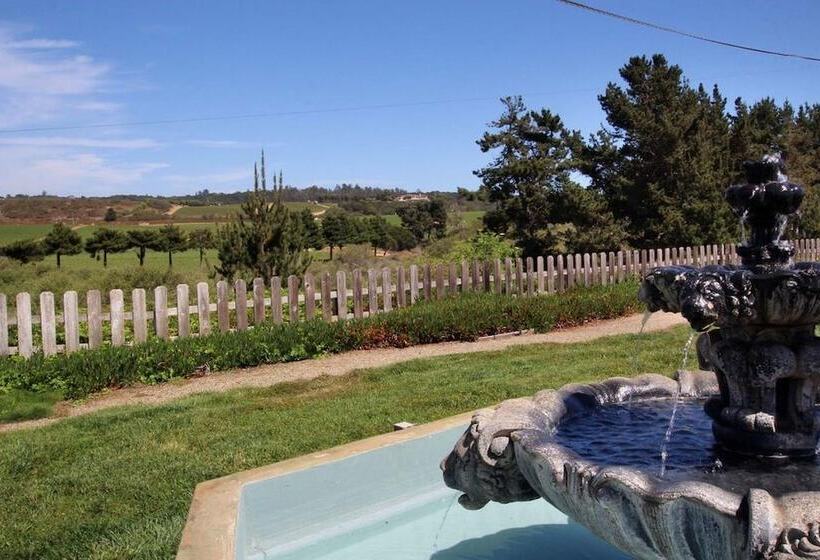 مبيت وإفطار Flora Vista Inn