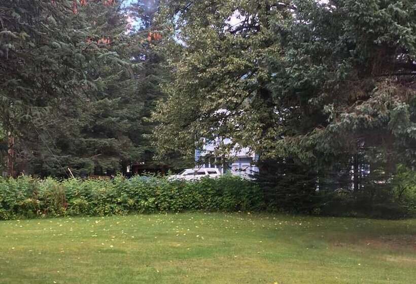 مسافرخانه Alaska Dreamin  Lodging