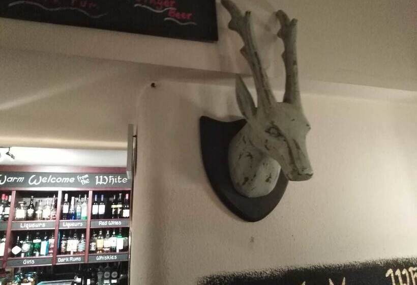 簡易ホテル The White Hart