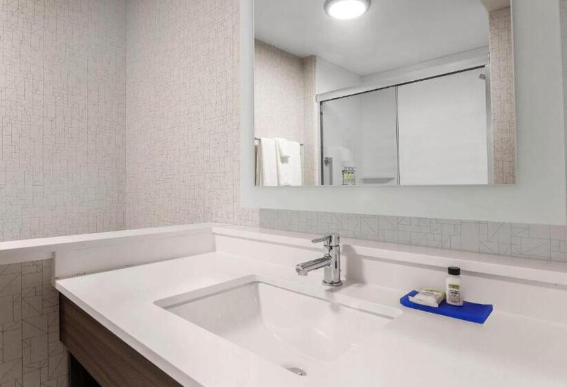 هتل Holiday Inn Express & Suites Chicago O Hare Airport, An Ihg