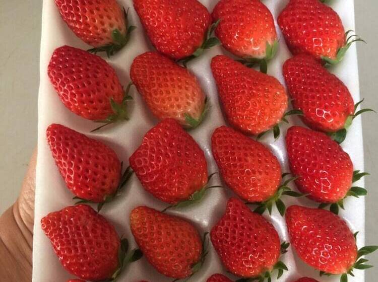 هتل Wawee Strawberry House
