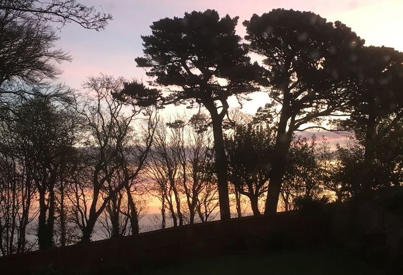 The Beeches Bed & Breakfast