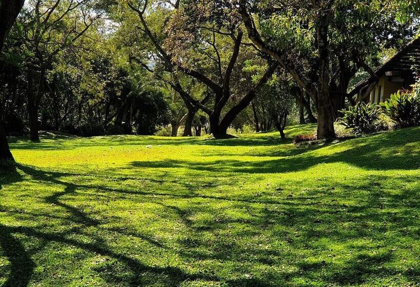 هتل Sabi River Sun Resort