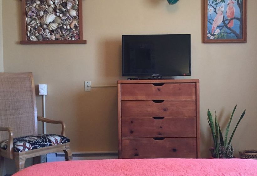 Cvu Motel