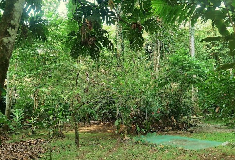 هتل Casa Moabi