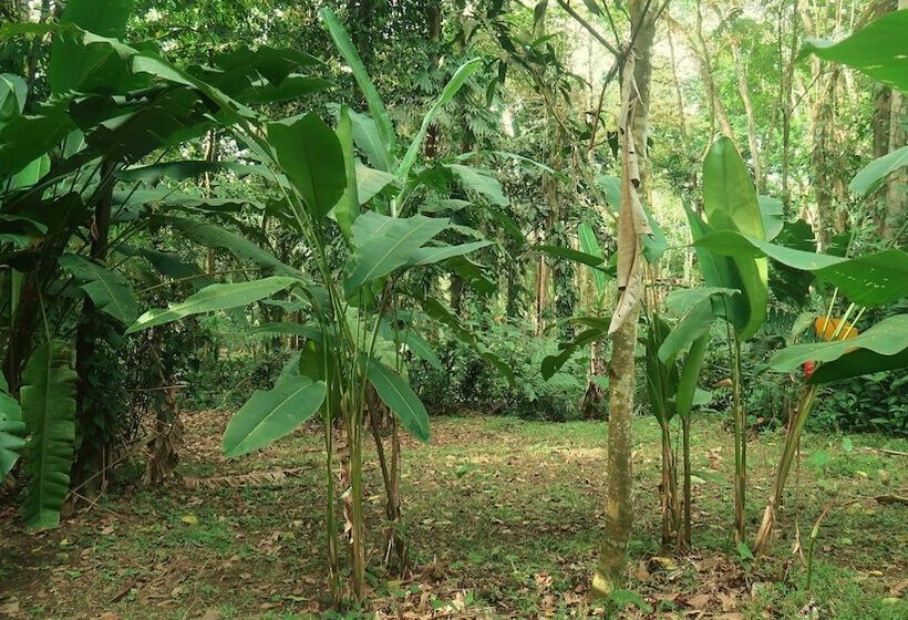 هتل Casa Moabi
