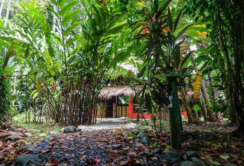 هتل Casa Moabi