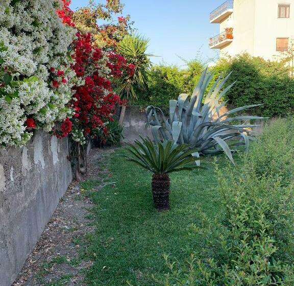 B&b Domus Vettii