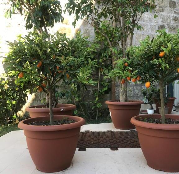 Il Cavaliere Bed And Breakfast